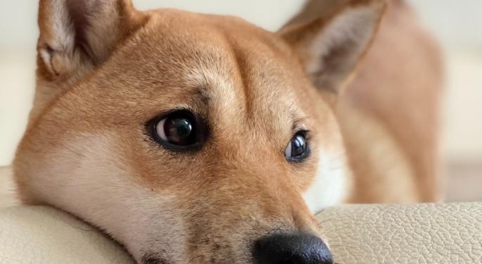 Dogecoin Growth Based On 'Hype And Trends,' Those Calling For Moonshot Show 'No Understanding of The Market,' Says CEO Of Tim-Draper-Backed Crypto Exchange