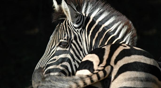 Zebra Is Deeply Undervalued And Shares Could Double By 2018, Says CLSA
