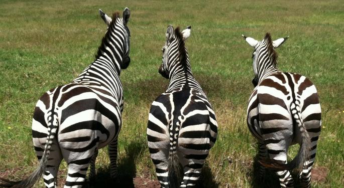 Every Janet Yellen Speech Summarized, Using Zebras