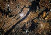 En Google Earth ya puedes ver tu ciudad natal a lo largo de 37 años