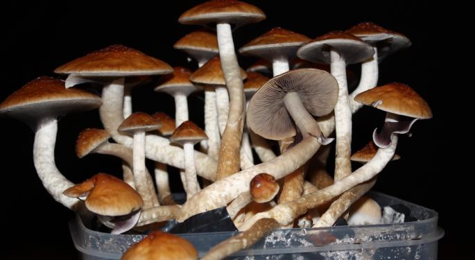 Massachusetts Activists Push For Psychedelics Decriminalization: What You Need To Know