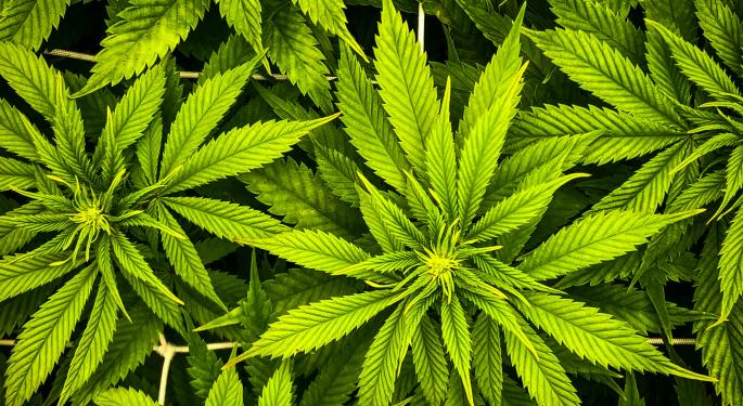 Cannabis Legislation Take A Step Forward, Is Now The Time To Invest In Cannabis?