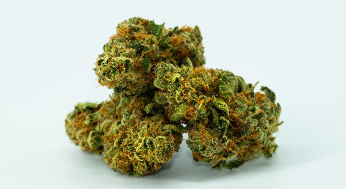 EXCLUSIVE: Why Is Everyone Afraid Of California's Cannabis Market? Harborside CEO Explains