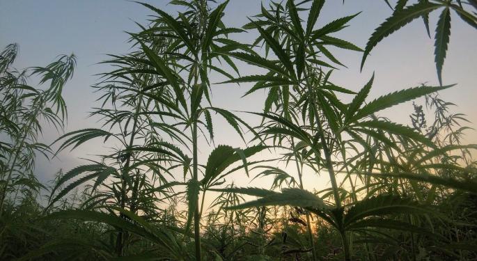 EXCLUSIVE: Pivoting A Traditional Farm To Hemp: How One Founder Sees Hemp Improving The World, Including Housing