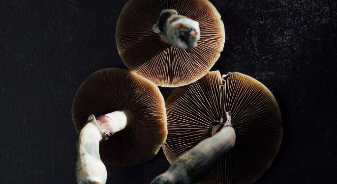 Mushrooms Have Their Own Language, New Study Suggests