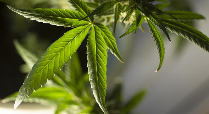 EXCLUSIVE: Ricky Sandler Sees 'Incredible Opportunity' In Cannabis, Especially These 4 Pot Stocks