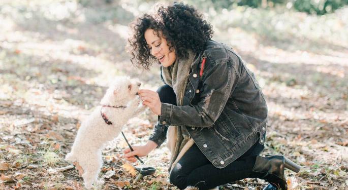 Old Dogs, New Tricks: Is Your Canine In Need Of Cannabis?