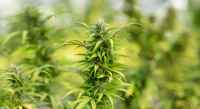 Columbia Care Brings Cannabist Dispensary Experience To Portsmouth, Virginia