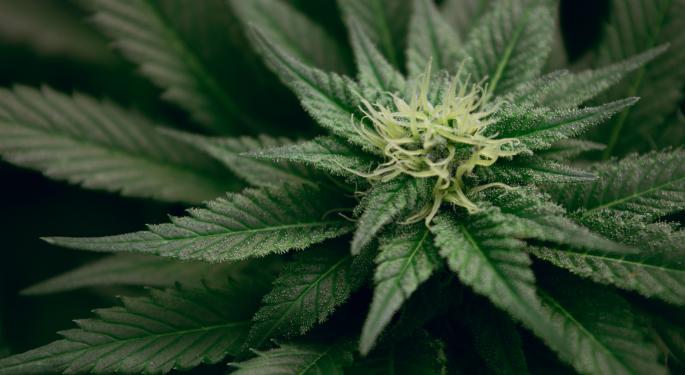 Sundial Growers Revenue Grew 63% In Q4 2021 To $17.63M YoY