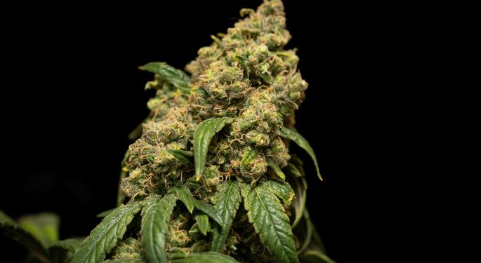 Curaleaf International Registers Range Of Proprietary THC/CBD Cannabis Oil Product Formulations In Malta