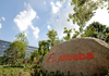 Por qué Alibaba está cotizando al alza hoy