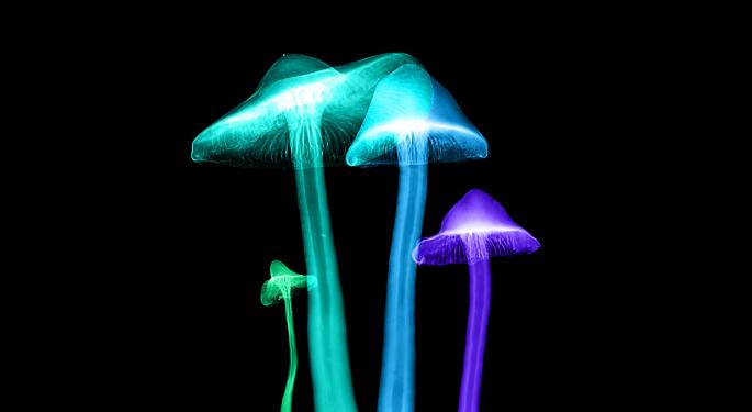 Berner Joins The Benzinga Psychedelics Advisory Council