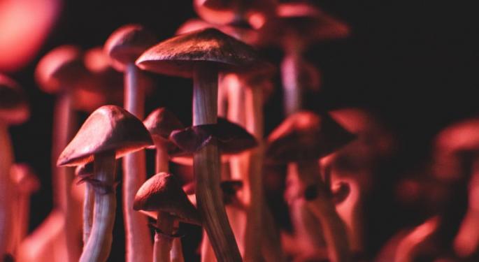Colorado Activists Push To Add Psychedelics Reform Onto November Ballot