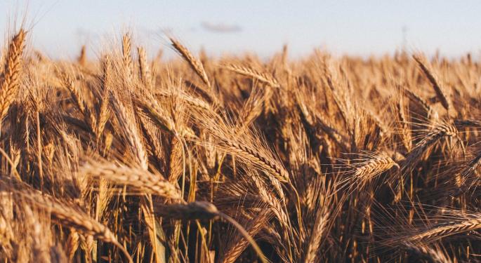 Wheat Futures Rise On Exports Restrictions, Russia/Ukraine Crisis, Soaring Inflation: What's Next?