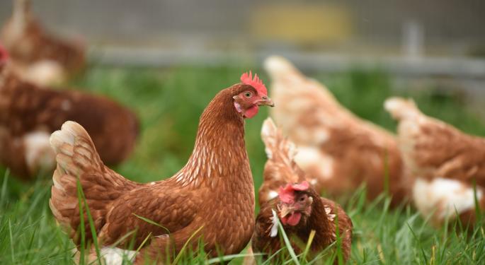 FDA Battles Over CBD Hype Yet Again, This Time Warns Businesses Selling Illegal CBD For Food-Producing Animals