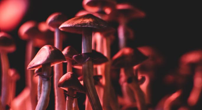 EXCLUSIVE: Silo Wellness Announces New CEO And Issues Shareholder Letter