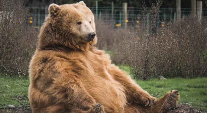 What Kind Of Job Opportunities Exist In Crypto During This Bear Market?