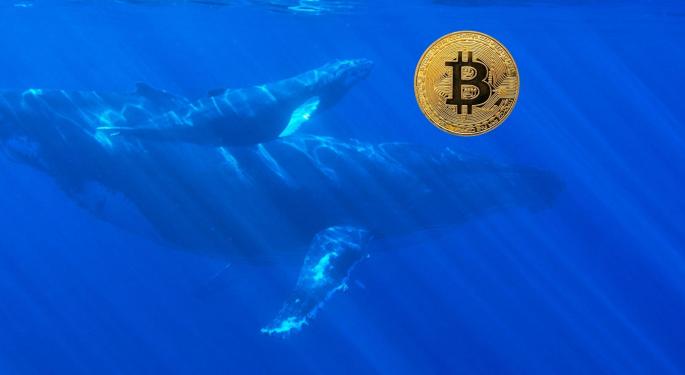 Richest Bitcoin Whale Now On Massive Accumulation Spree