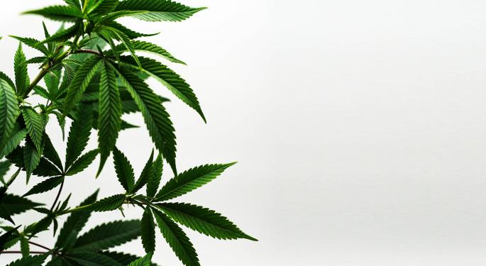 EXCLUSIVE: Simplifya Teams Up With Burns & Levinson To Upgrade Its Cannabis Regulatory Compliance Platform