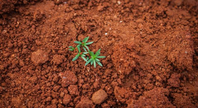 'Weed Like Change': A Sustainable Campaign To Regenerate Cannabis Industry By Maintaining Living Soil