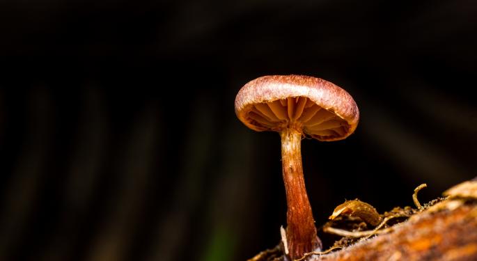 Psychedelic Companies With Solid Fundamentals Will Survive A Downturn In The Recession-Ridden Market