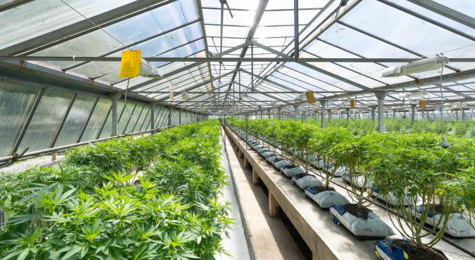 Allied Corp Ships Second Commercial Cannabis Flower Export From Colombia To International Market