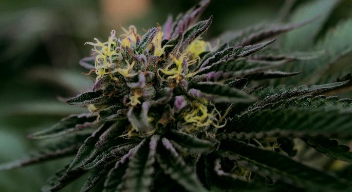 Healer.com Joins Leaf411 To Amplify Cannabis Education Efforts