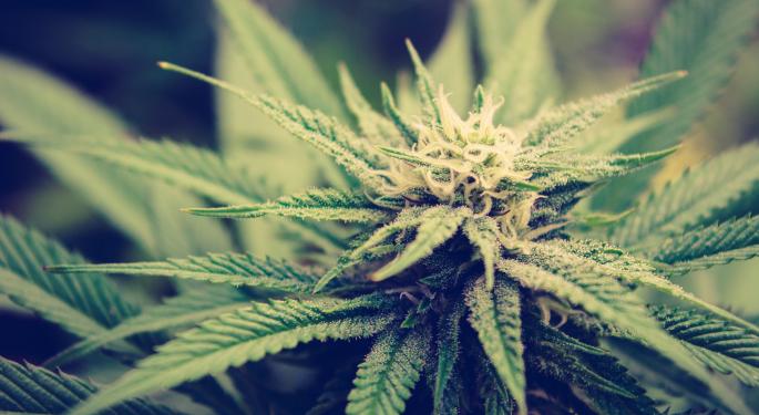 How Many Different Types Of THCs Are There On The Market? Which One Is The Strongest?