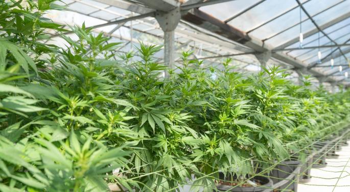 Goodness Growth Q2 Revenue Increases 48% YoY, What About Adjusted EBITDA?