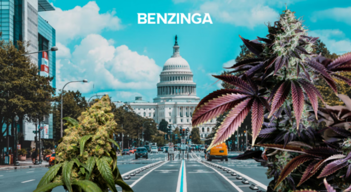 Washington DC: Medical Cannabis Self-Certification Program Results In Rise MMJ Patient Registrations