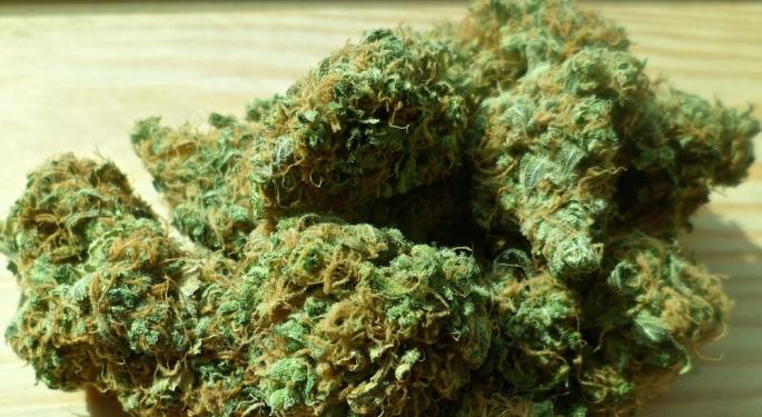 New York's Medical Cannabis Companies Seek A Less Pricey Route To Go Recreational
