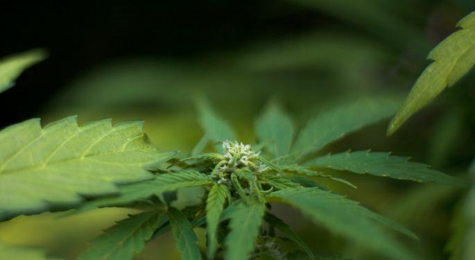 Several California 'Weed' Bills Head To Newsom's Desk: Here Are The Cannabis Legislations About To Become Law In The Golden State