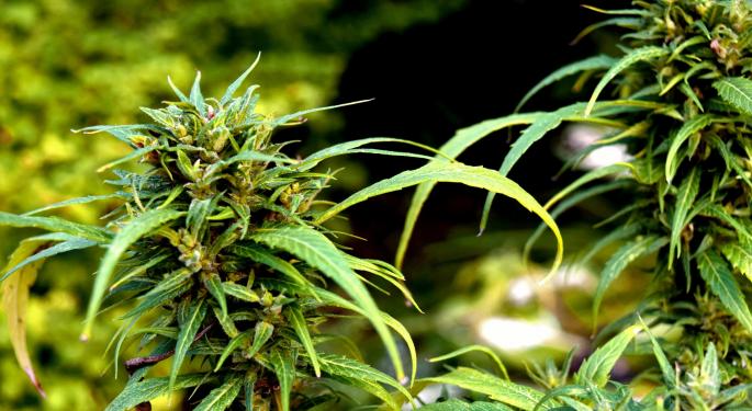 New Jersey Issues New Guidance For Protecting Workers Who Consume Cannabis