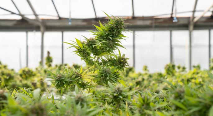 Not In My Back Yard? New Study Points To Why Municipalities Choose To Ban Or Allow Cannabis Sales In NJ