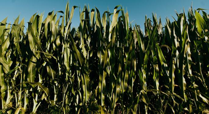 EXCLUSIVE: How To Conquer The Midwest? 4Front, Pharmacann & Marimed Execs Discuss At Benzinga Cannabis Conference