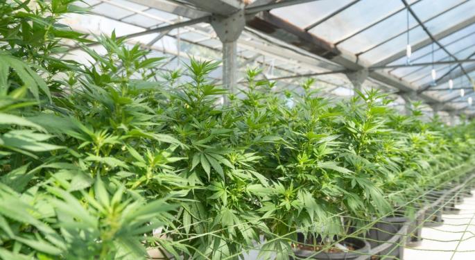 PharmaCielo Ships Dried Cannabis Flower To The Czech Republic, Expanding Its Exports To EU