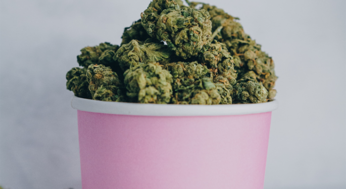 Is Cannabis Legalization Associated With Declining Obesity Rates? Here's What One Study Found