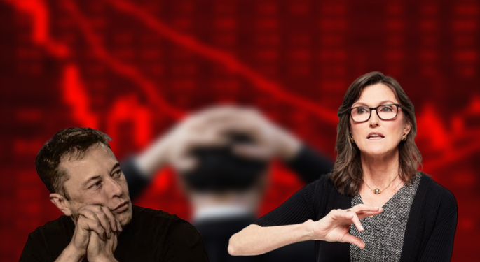 Elon Musk And Cathie Wood Call Out Deflation Risks — What Investments Might Be Safe If They Are Right?