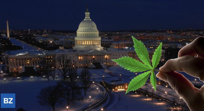 GOP Senators Say No To Intelligence Jobs For Past Pot Users, Sen. Wyden Has Ace Up His Sleeve