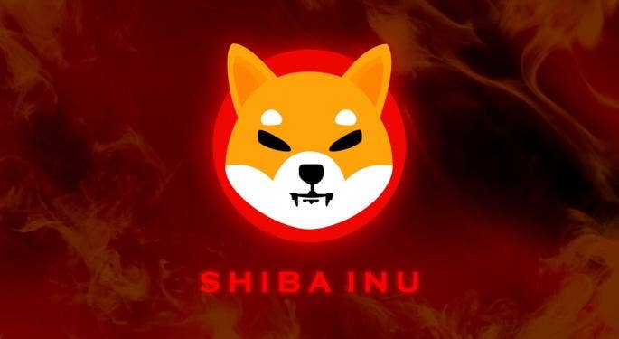 Los seguidores de SHIB piden a Binance incluir Bone ShibaSwap
