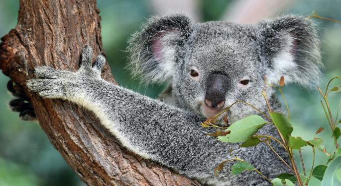 Australian Psychedelics: Incannex Business & Financials, New Research Center For Mushrooms & Eating Disorders