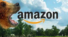 Le azioni Amazon segnano nuovi minimi. Cosa aspettarsi?