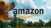 Las acciones de Amazon se desploman hasta nuevos mínimos