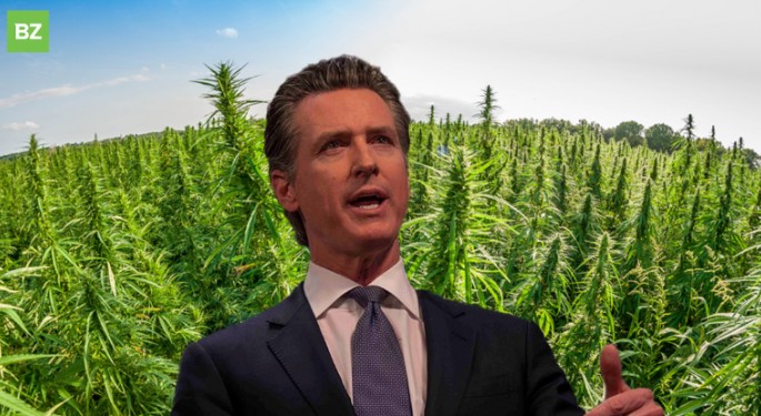 Gov. Gavin Newsom Seeks Interstate Cannabis Trade: Could California Supply The Nation?