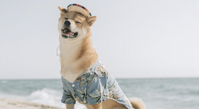 Dogecoin sube un 11% tras la publicación de Twitter de Musk