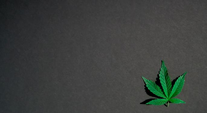 Holyoke City Council Demands Firmer Protocols In Marijuana Industry Following Death Of Trulieve Employee