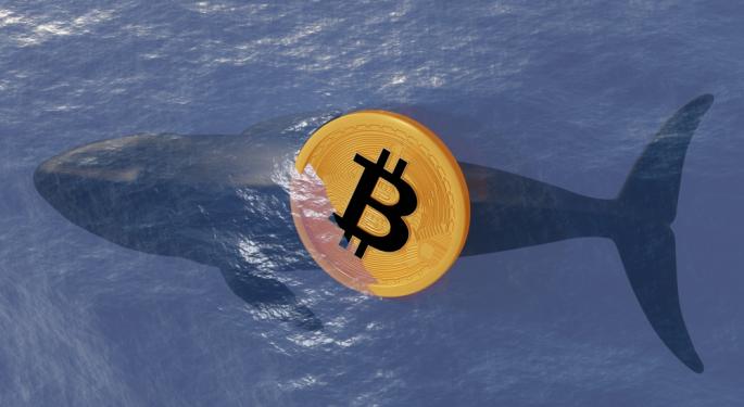 Bitcoin Whales Holding Strong Despite Panic Sell-Off Over FTX Crisis, Says Analyst