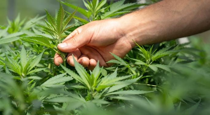 Exclusive: PathogenDx Launches Automated Sample Prep System For Bacterial & Fungal Testing For Cannabis & Hemp