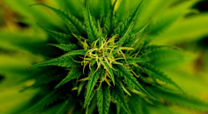 Curaleaf's Strategic Rebrand Of Grassroots & Expansion To California With Infused Pre-Rolls