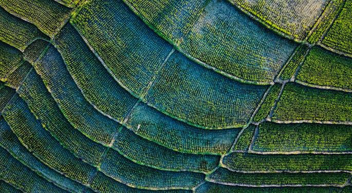 Resource Use In Cannabis Industry, A New Report From Regennabis Says More Should Be Done